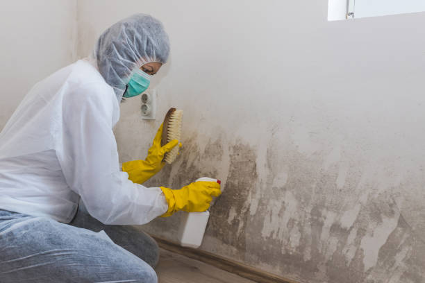 Crawl Space Mold Removal in New Carrollton, MD