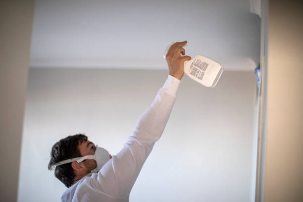 Best Mold Testing and Removal  in New Carrollton, MD